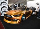ford mustang golg illusion